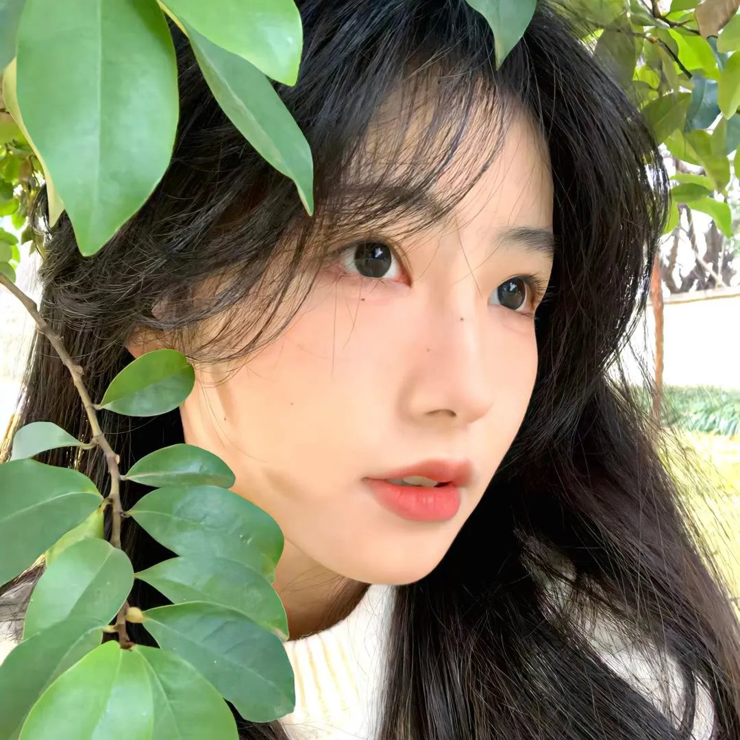 孤独之旅